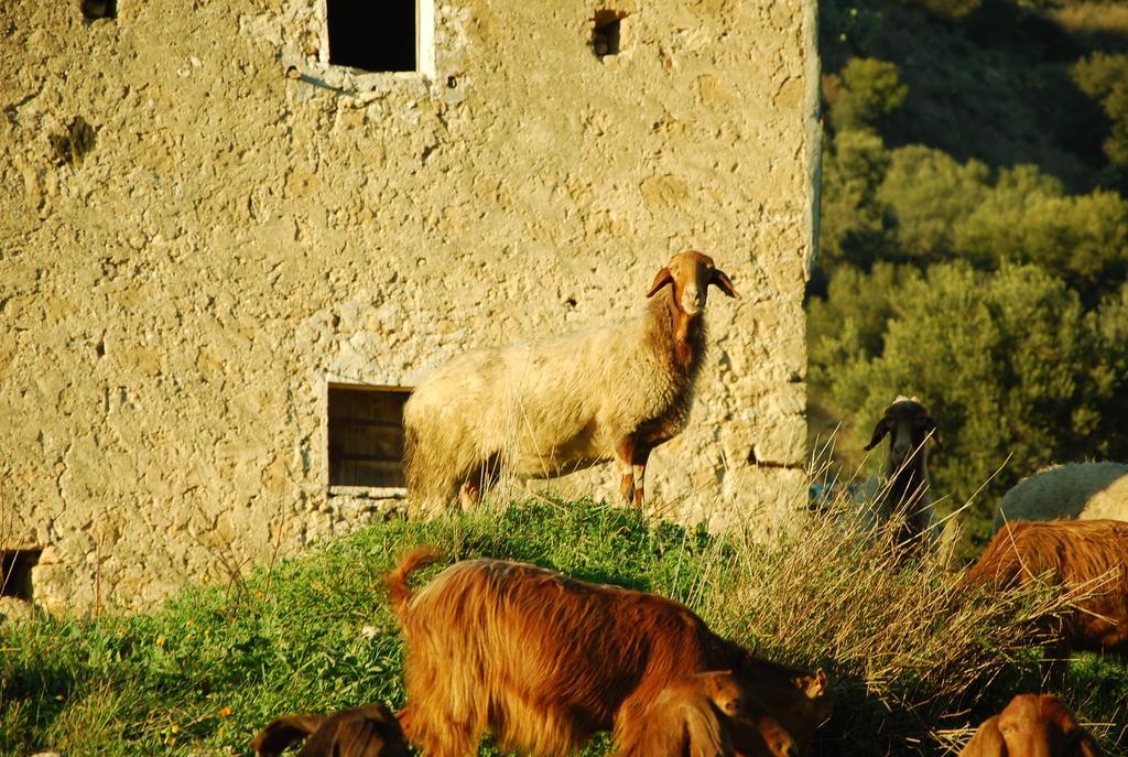 Отель Experience Il Paesino Licodia Eubea Экстерьер фото